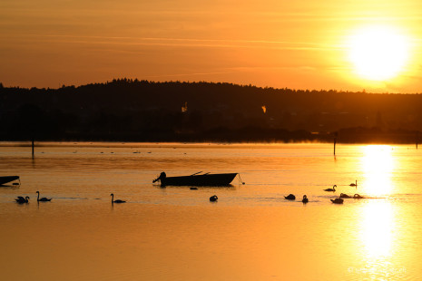 Bodensee